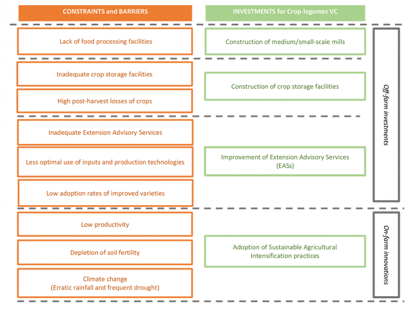 Figure 1: On-farm and off-farm investments in cereal-legumes value chain