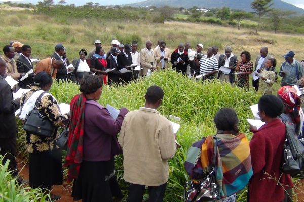 A group of farmers participating in varietal selection of Brachiaria grasses at KALRO-Katumani in a previous project funded by sida  (Photo by Njarui, D.M.G.)