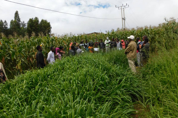 Farmers and stakeholders field day on SAI fields